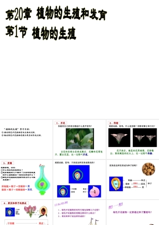 八年级生物上册《植物的生殖》课件2 苏科版