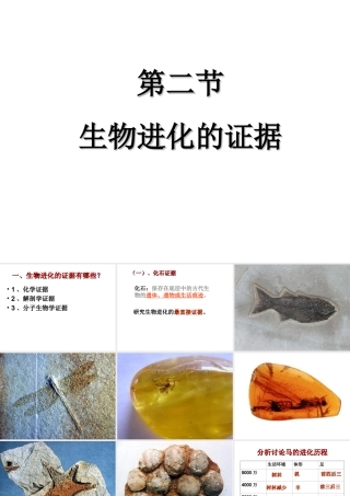 八年级生物下册 5.1.2 生物进化的证据课件 （新版）济南版-（新版）济南版初中八年级下册生物课件