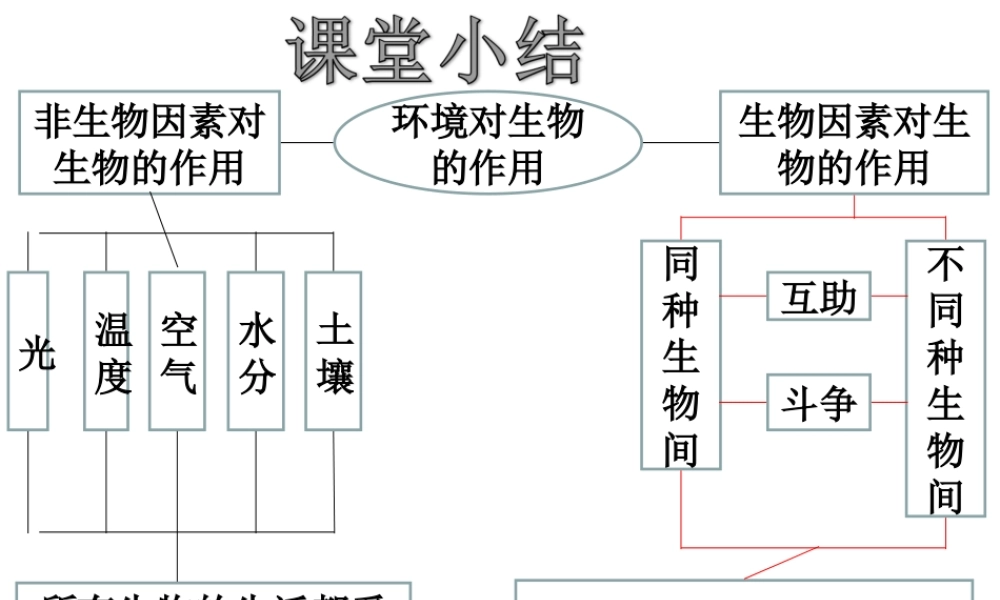 八年级生物下册 6.1.2 生物对环境的适应与影响课件 （新版）济南版-（新版）济南级下册生物课件