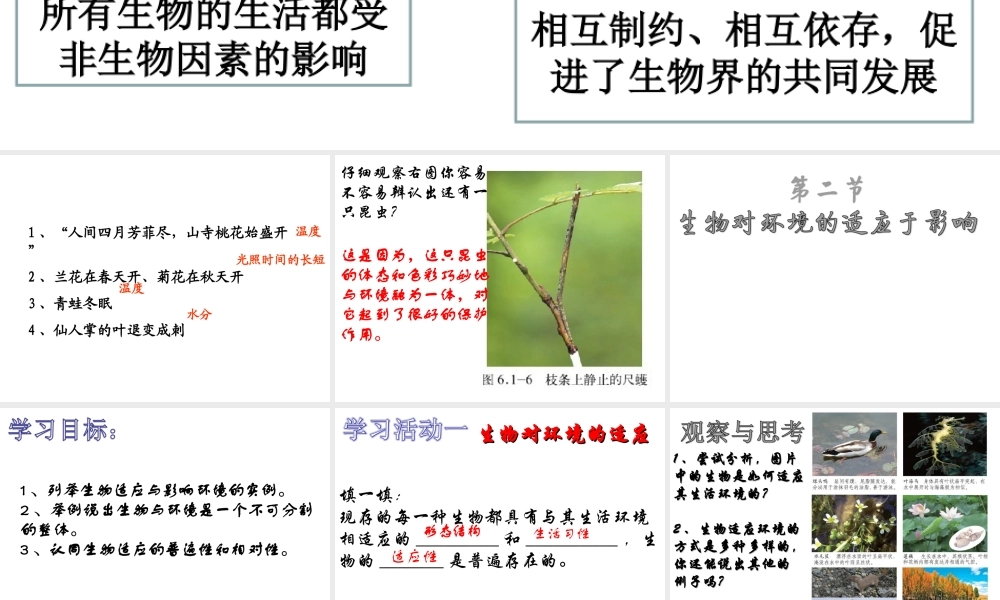 八年级生物下册 6.1.2 生物对环境的适应与影响课件 （新版）济南版-（新版）济南级下册生物课件