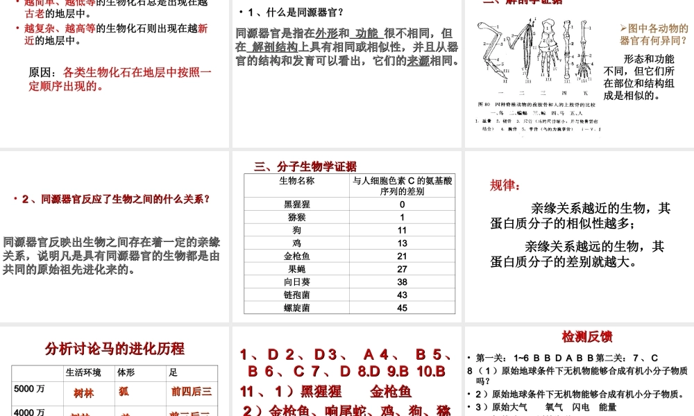 八年级生物下册 5.1.2 生物进化的证据课件 （新版）济南版-（新版）济南级下册生物课件