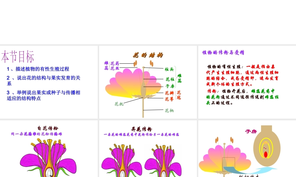 八年级生物上册《植物的有性生殖》课件 苏教版