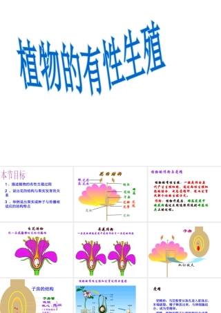 八年级生物上册《植物的有性生殖》课件 苏教版