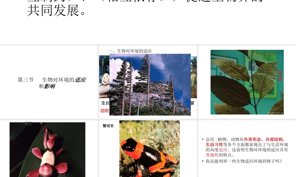 八年级生物下册 6.1.2 生物对环境的适应与影响课件 （新版）济南版