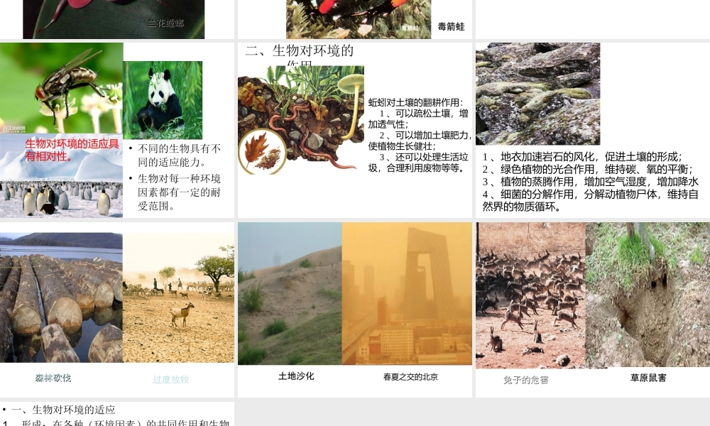 八年级生物下册 6.1.2 生物对环境的适应与影响课件 （新版）济南版