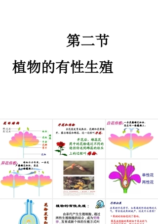 八年级生物上册《植物的有性生殖》课件1 苏教版