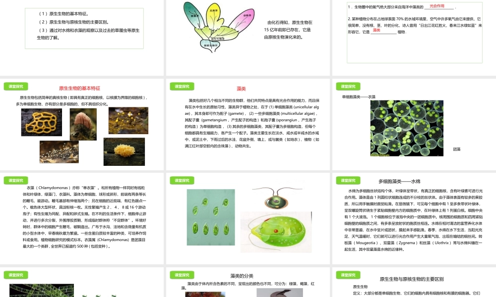 八年级生物下册 13.3 原生生物课件 北京课改版-北京课改级下册生物课件