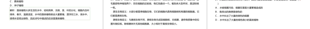 八年级生物下册 13.3 原生生物课件 北京课改版-北京课改级下册生物课件