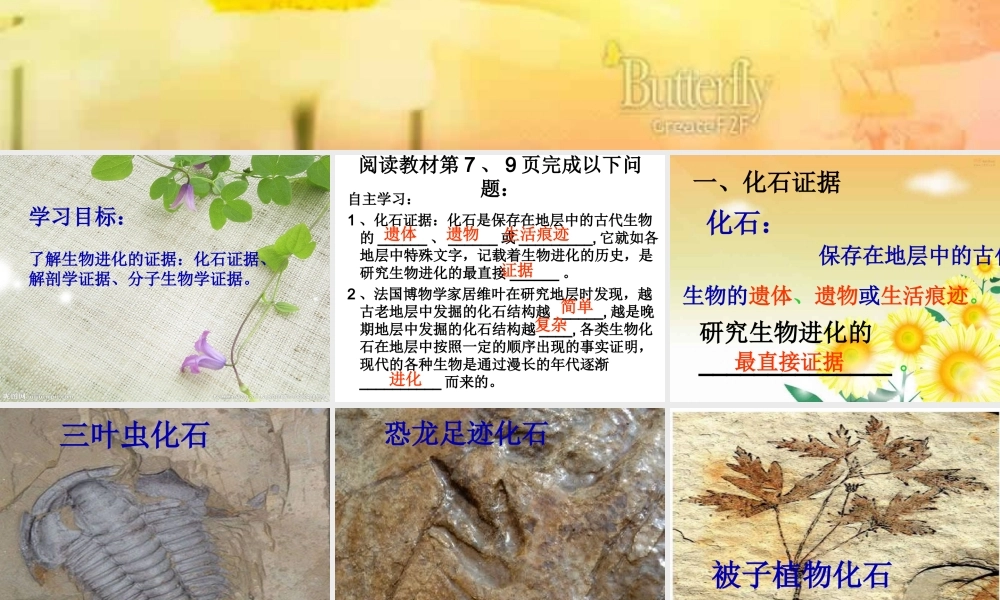 八年级生物下册 5.1.2 生物进化的证据课件 济南版