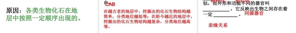 八年级生物下册 5.1.2 生物进化的证据课件 济南版