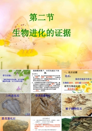 八年级生物下册 5.1.2 生物进化的证据课件 济南版