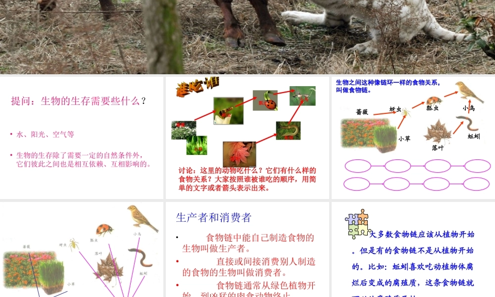 八年级生物下册 6.1.2 食物链和食物网课件 济南版