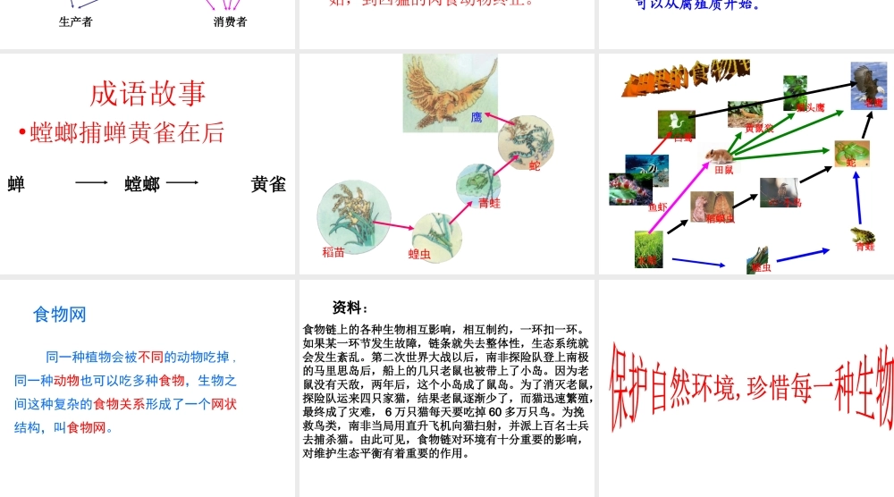 八年级生物下册 6.1.2 食物链和食物网课件 济南版