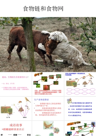 八年级生物下册 6.1.2 食物链和食物网课件 济南版