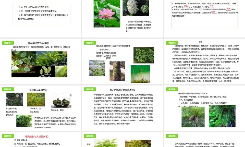 八年级生物下册 13.4 植物课件 北京课改版-北京课改版初中八年级下册生物课件