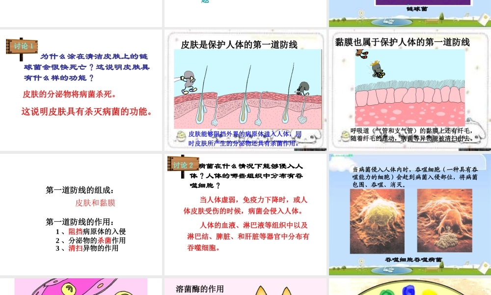 八年级生物下册 8.1.2 免疫与计划免疫课件 新人教版-新人教版初中八年级下册生物课件