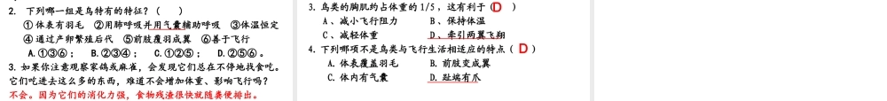 八年级生物上册5.1.6 鸟课件 （新版）新人教版-（新版）新人教版初中八年级上册生物课件