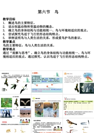 八年级生物上册5.1.6 鸟课件 （新版）新人教版-（新版）新人教版初中八年级上册生物课件