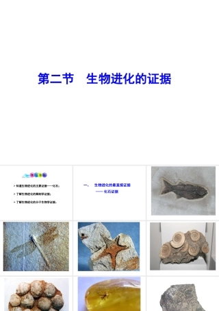 八年级生物下册 5.1.2 生物进化的证据课件 济南版-济南版初中八年级下册生物课件