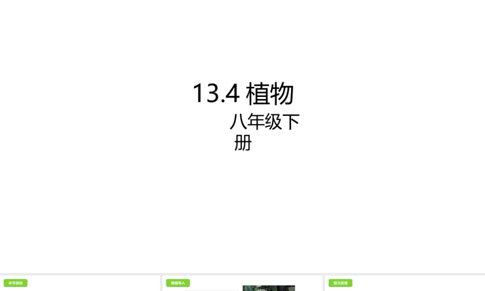 八年级生物下册 13.4 植物课件 北京课改版-北京课改级下册生物课件