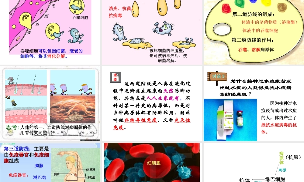 八年级生物下册 8.1.2 免疫与计划免疫课件 新人教版-新人教级下册生物课件