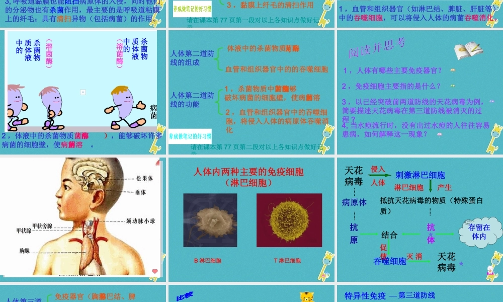 八年级生物下册 8.1.2《免疫与计划免疫》教学课件 （新版）新人教版-（新版）新人教版初中八年级下册生物课件