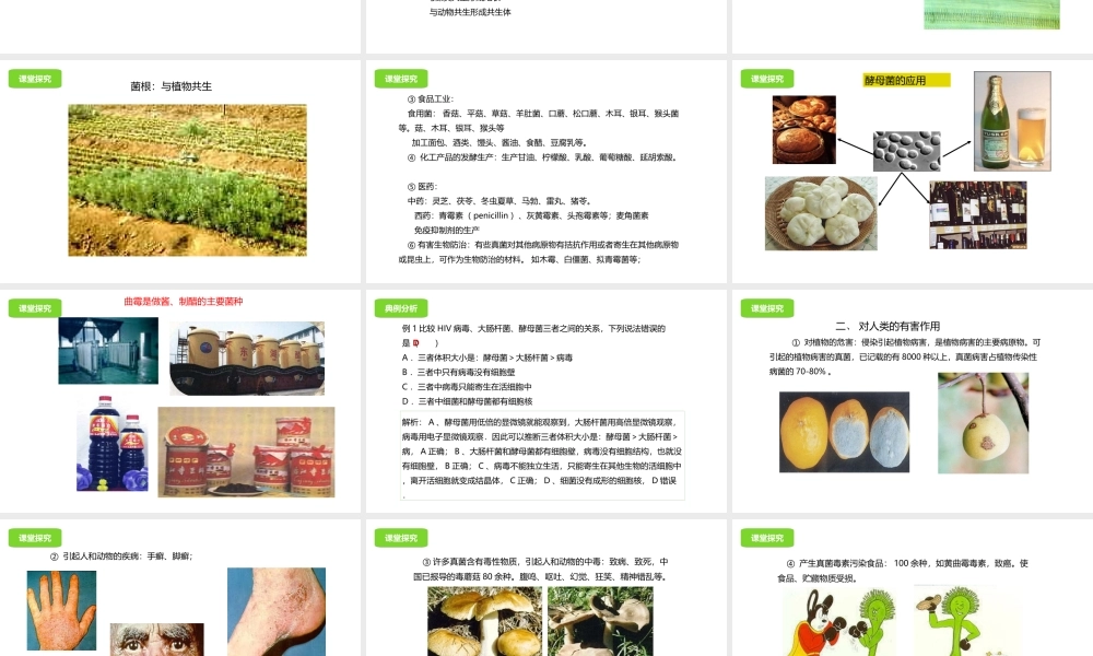 八年级生物下册 13.5 真菌课件 北京课改版-北京课改版初中八年级下册生物课件