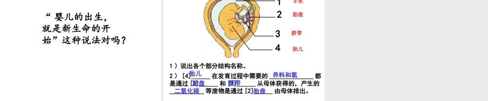 八年级生物下册 6.1.3 人的生殖和胚胎发育课件 （新版）冀教版-（新版）冀教级下册生物课件