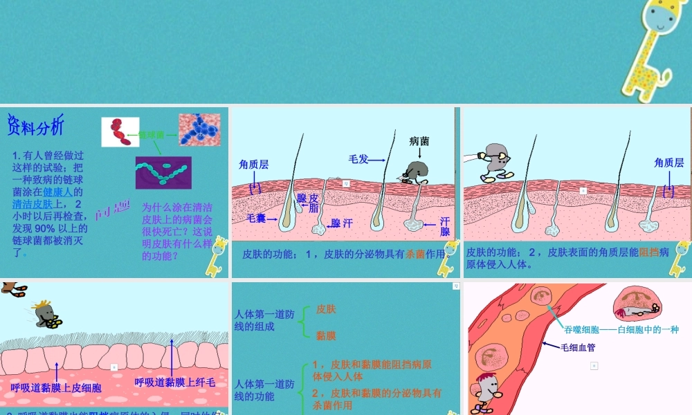 八年级生物下册 8.1.2《免疫与计划免疫》教学课件 （新版）新人教版-（新版）新人教级下册生物课件