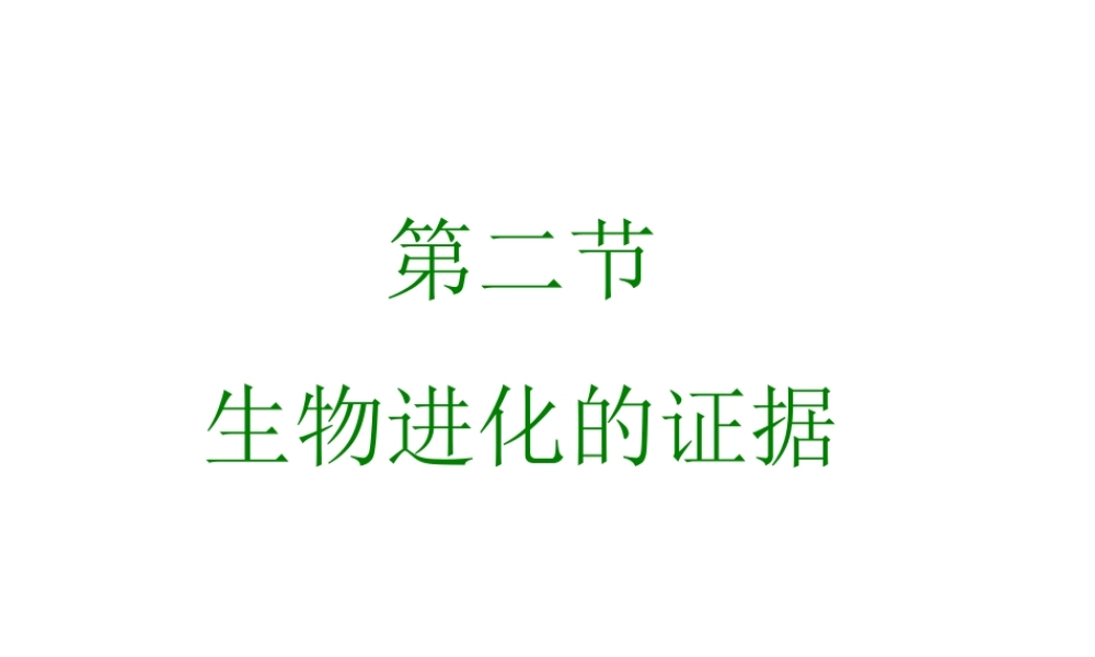 八年级生物下册 5.1.2《生物进化的证据》课件 济南版