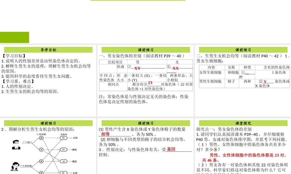 八年级生物下册 7.2.4 人的性别遗传课件（新版）新人教版-（新版）新人教级下册生物课件