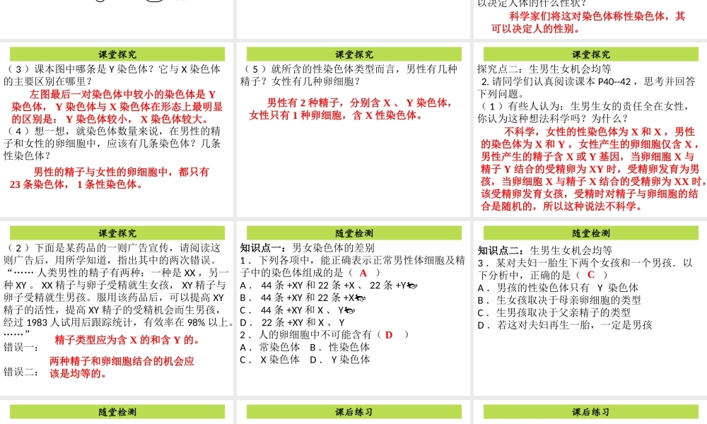 八年级生物下册 7.2.4 人的性别遗传课件（新版）新人教版-（新版）新人教级下册生物课件