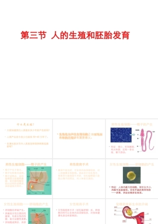 八年级生物下册 6.1.3 人的生殖和胚胎发育课件 冀教版-冀教版初中八年级下册生物课件