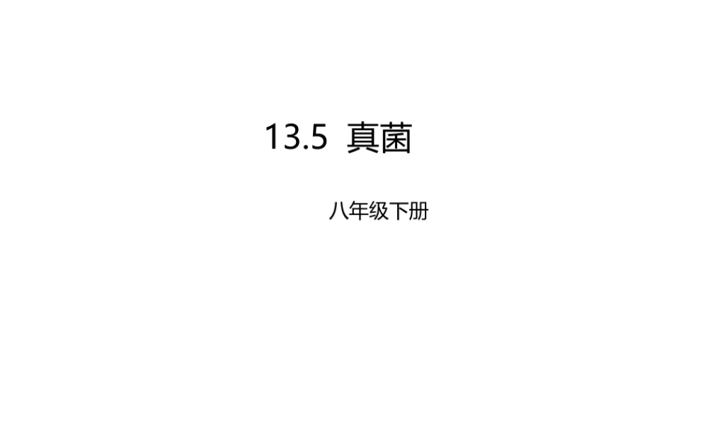 八年级生物下册 13.5 真菌课件 北京课改版-北京课改级下册生物课件