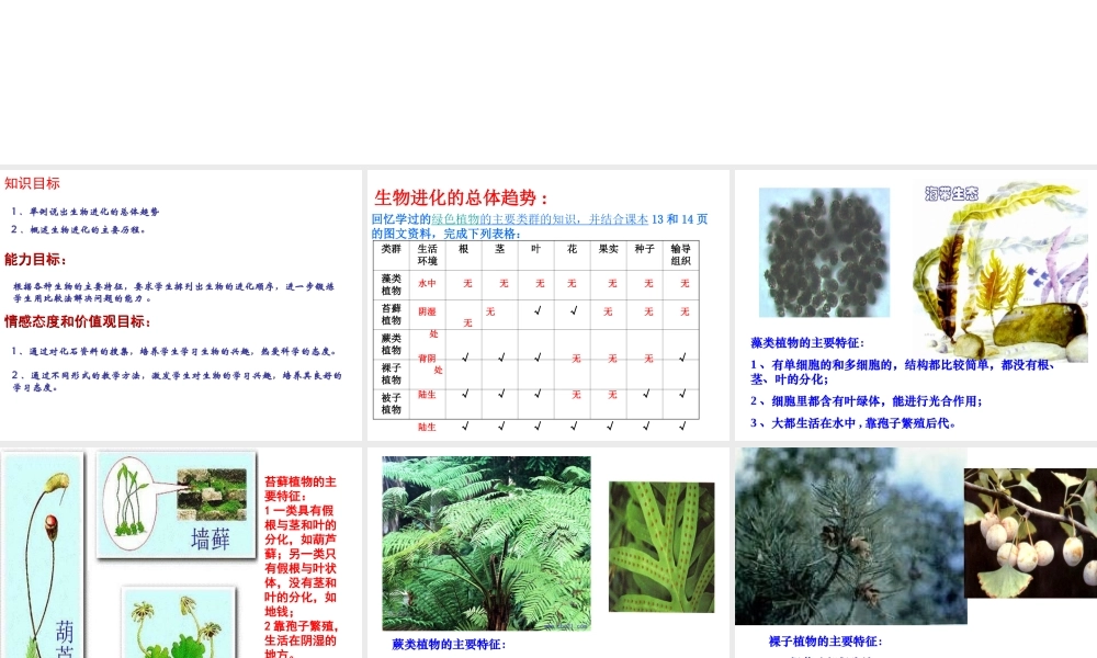 八年级生物下册 5.1.3 生物进化的历程课件 （新版）济南版-（新版）济南版初中八年级下册生物课件