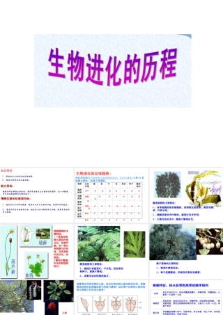 八年级生物下册 5.1.3 生物进化的历程课件 （新版）济南版-（新版）济南版初中八年级下册生物课件