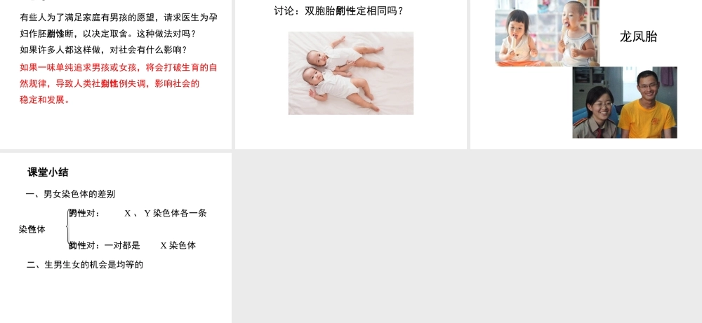 八年级生物下册 7.2.4《人的性别遗传》复习课件 （新版）新人教版-（新版）新人教版初中八年级下册生物课件