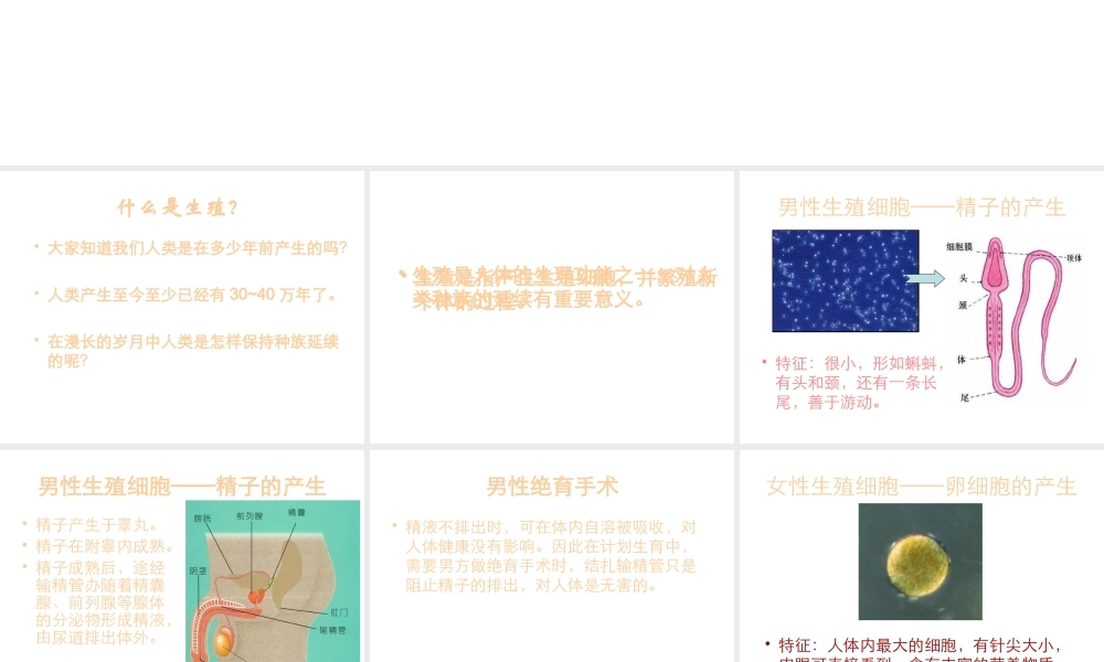 八年级生物下册 6.1.3 人的生殖和胚胎发育课件 冀教版-冀教级下册生物课件