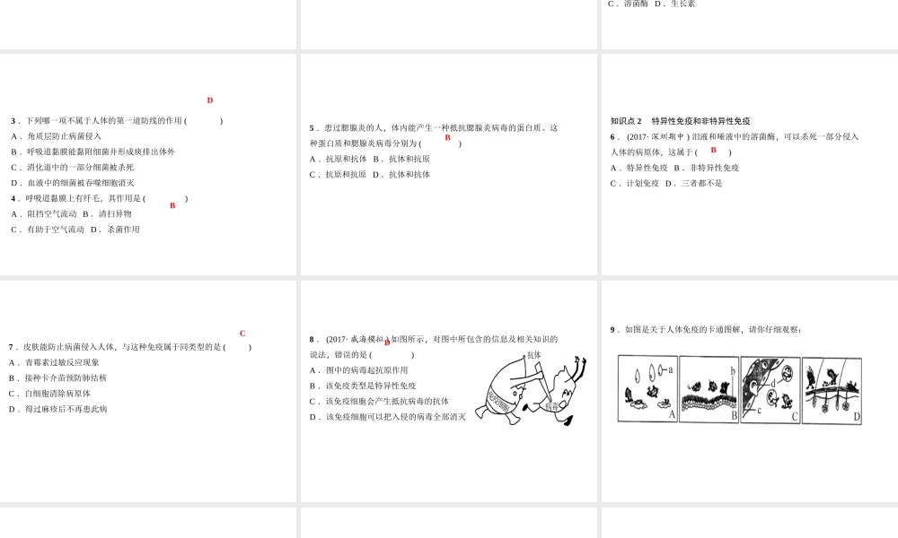 八年级生物下册 8.1.2免疫与计划免疫（第1课时）课件 （新版）新人教版-（新版）新人教级下册生物课件