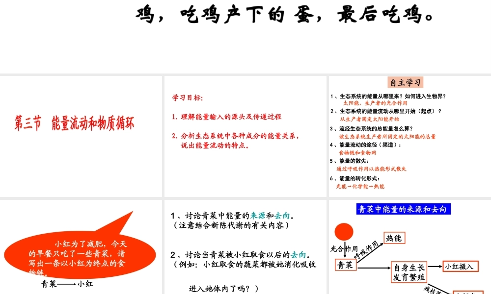 八年级生物下册 6.1.3《能量流动和物质循环》课件（济南版八年级下)