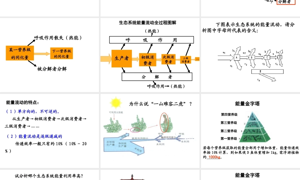 八年级生物下册 6.1.3《能量流动和物质循环》课件（济南版八年级下)