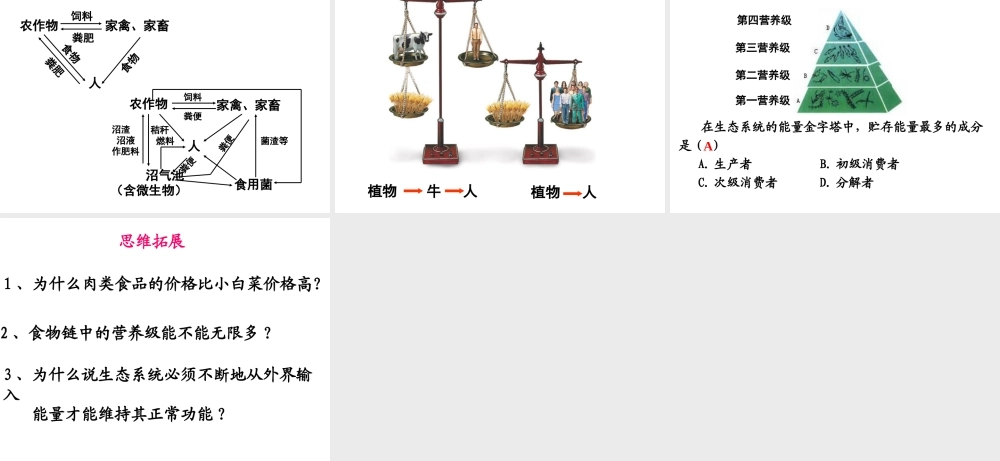 八年级生物下册 6.1.3《能量流动和物质循环》课件（济南版八年级下)