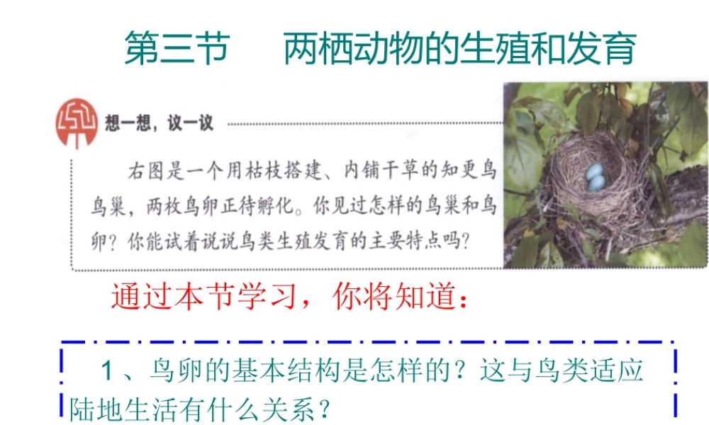 八年级生物下册 7.1.4鸟的生殖和发育课件3 （新版）新人教版-（新版）新人教版初中八年级下册生物课件