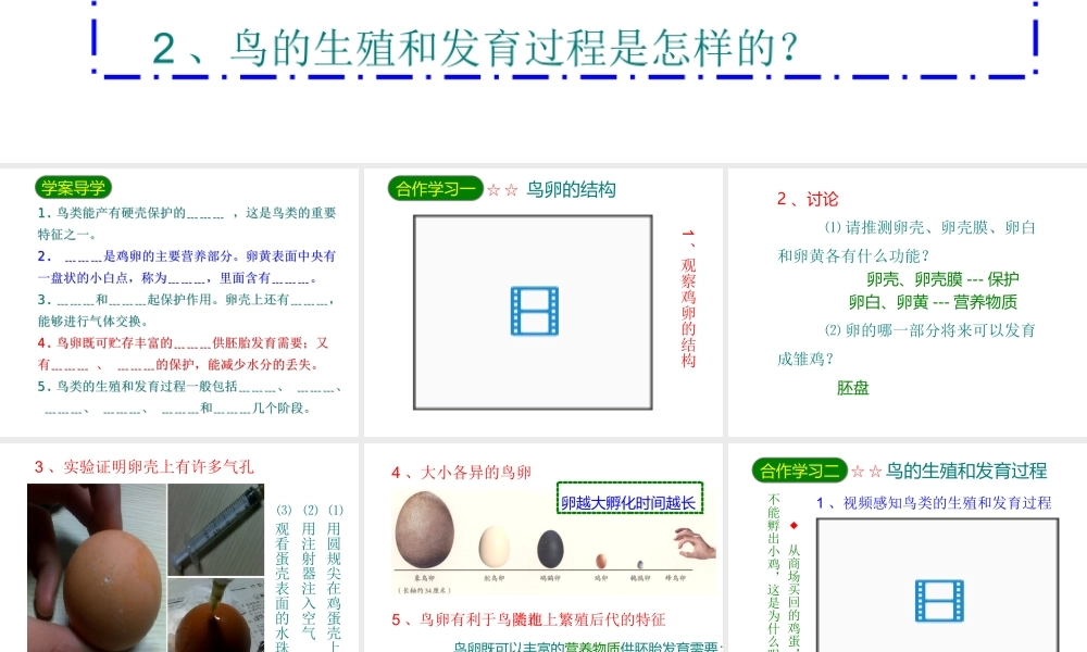 八年级生物下册 7.1.4鸟的生殖和发育课件3 （新版）新人教版-（新版）新人教版初中八年级下册生物课件