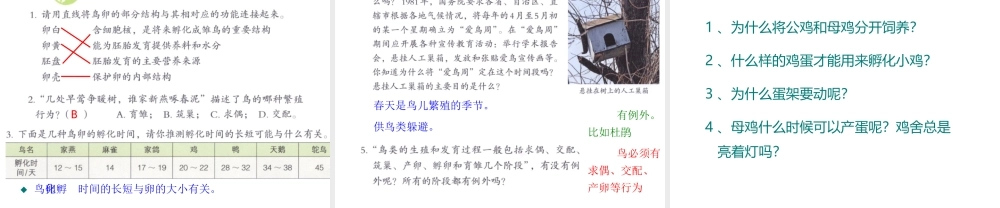 八年级生物下册 7.1.4鸟的生殖和发育课件3 （新版）新人教版-（新版）新人教版初中八年级下册生物课件