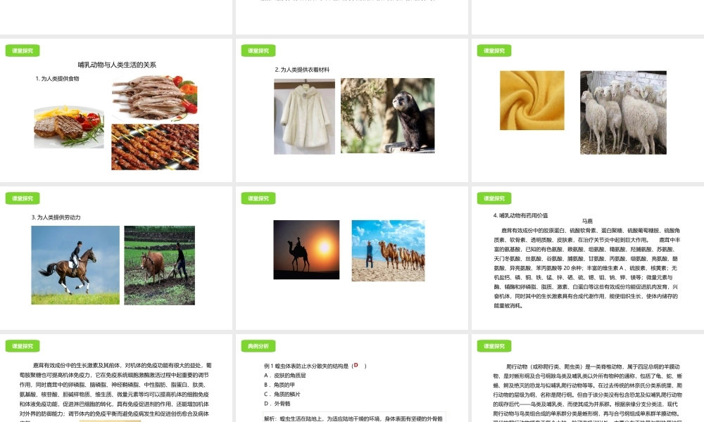 八年级生物下册 13.6 动物课件 北京课改版-北京课改版初中八年级下册生物课件