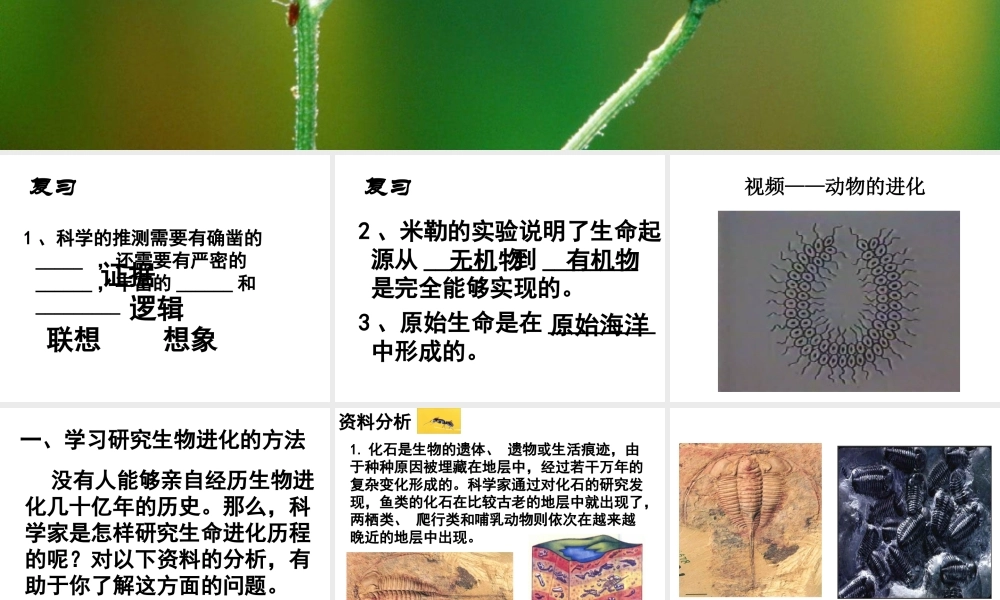八年级生物下册 5.1.3 生物进化的历程课件1 济南版