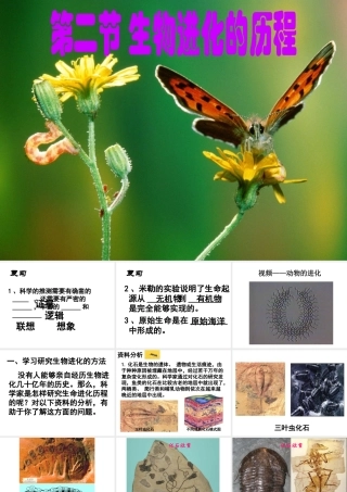 八年级生物下册 5.1.3 生物进化的历程课件1 济南版
