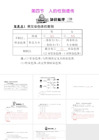 八年级生物下册 7.2.4《人的性别遗传》配套课件 人教新课标版