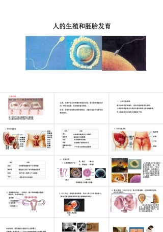 八年级生物下册 6.1.3人的生殖和胚胎发育教学课件 （新版）冀教版-（新版）冀教版初中八年级下册生物课件